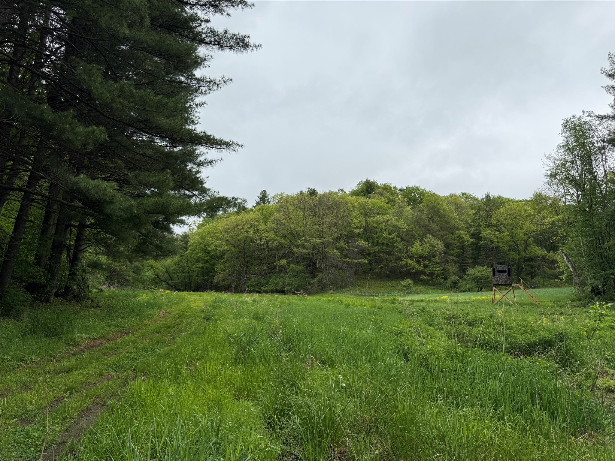 XXX County Road T Arcadia WI 54612 1601333 image33