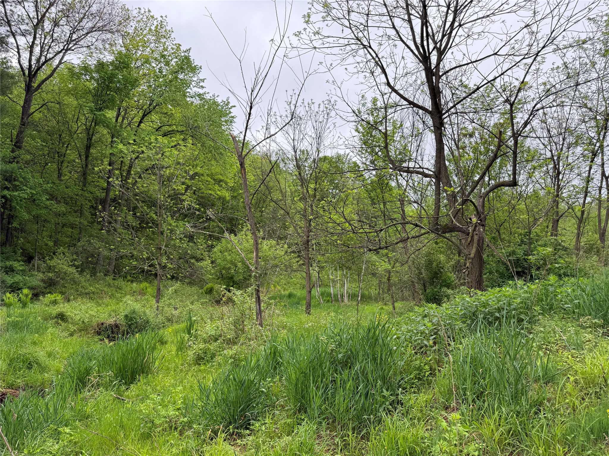 XXX County Road T Arcadia WI 54612 1601333 image34