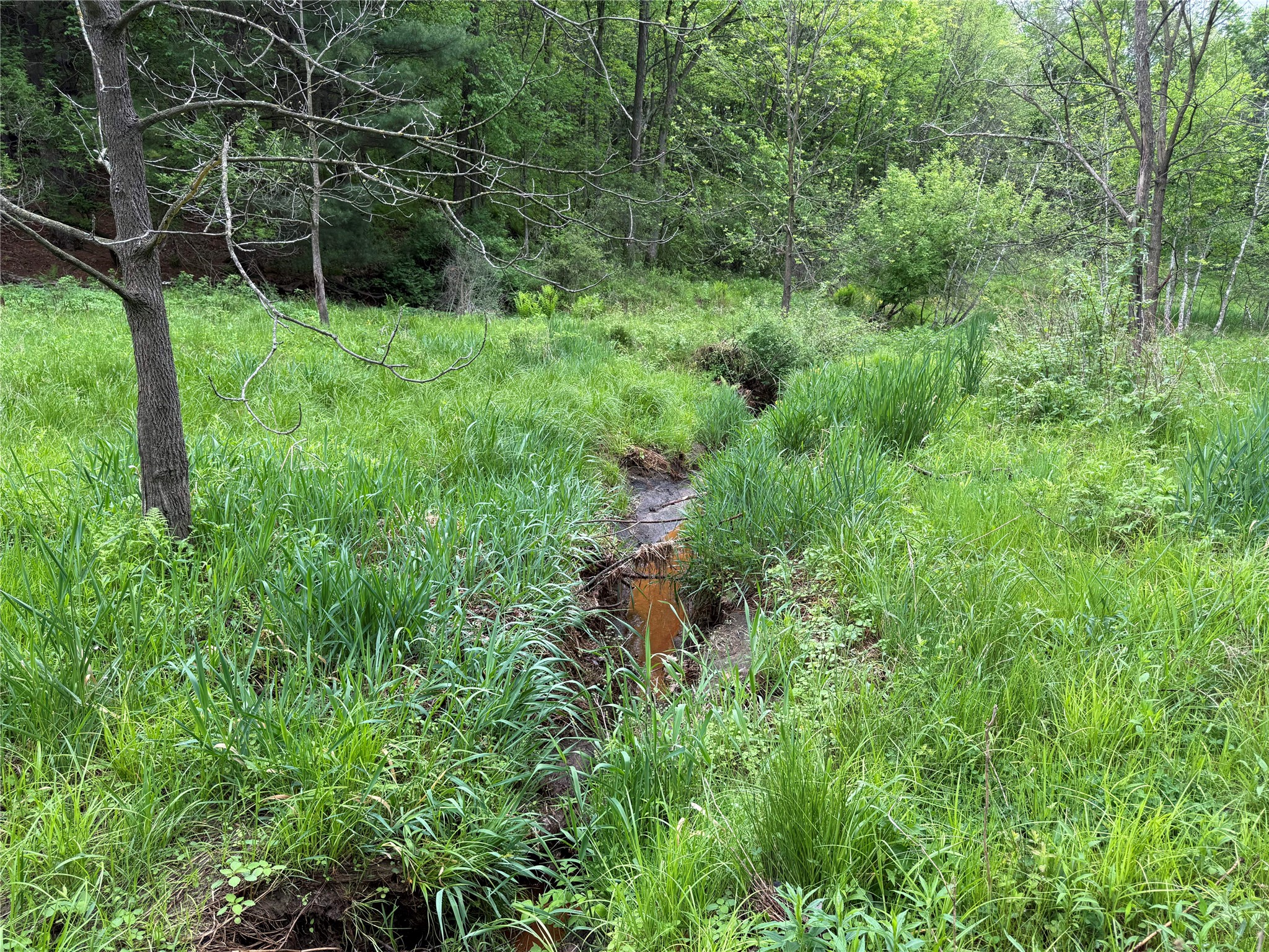 XXX County Road T Arcadia WI 54612 1601333 image35
