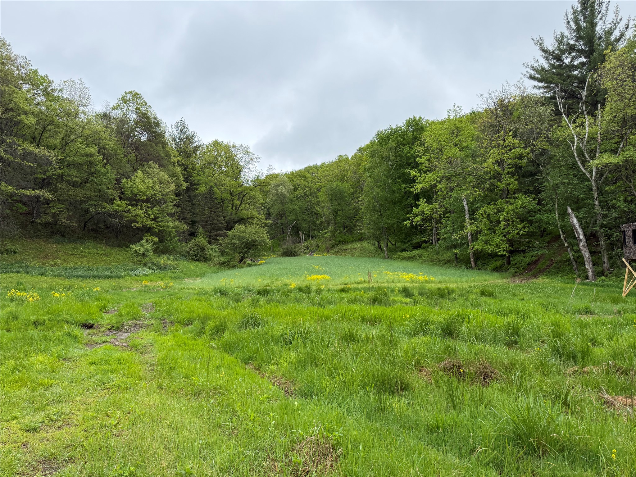 XXX County Road T Arcadia WI 54612 1601333 image36