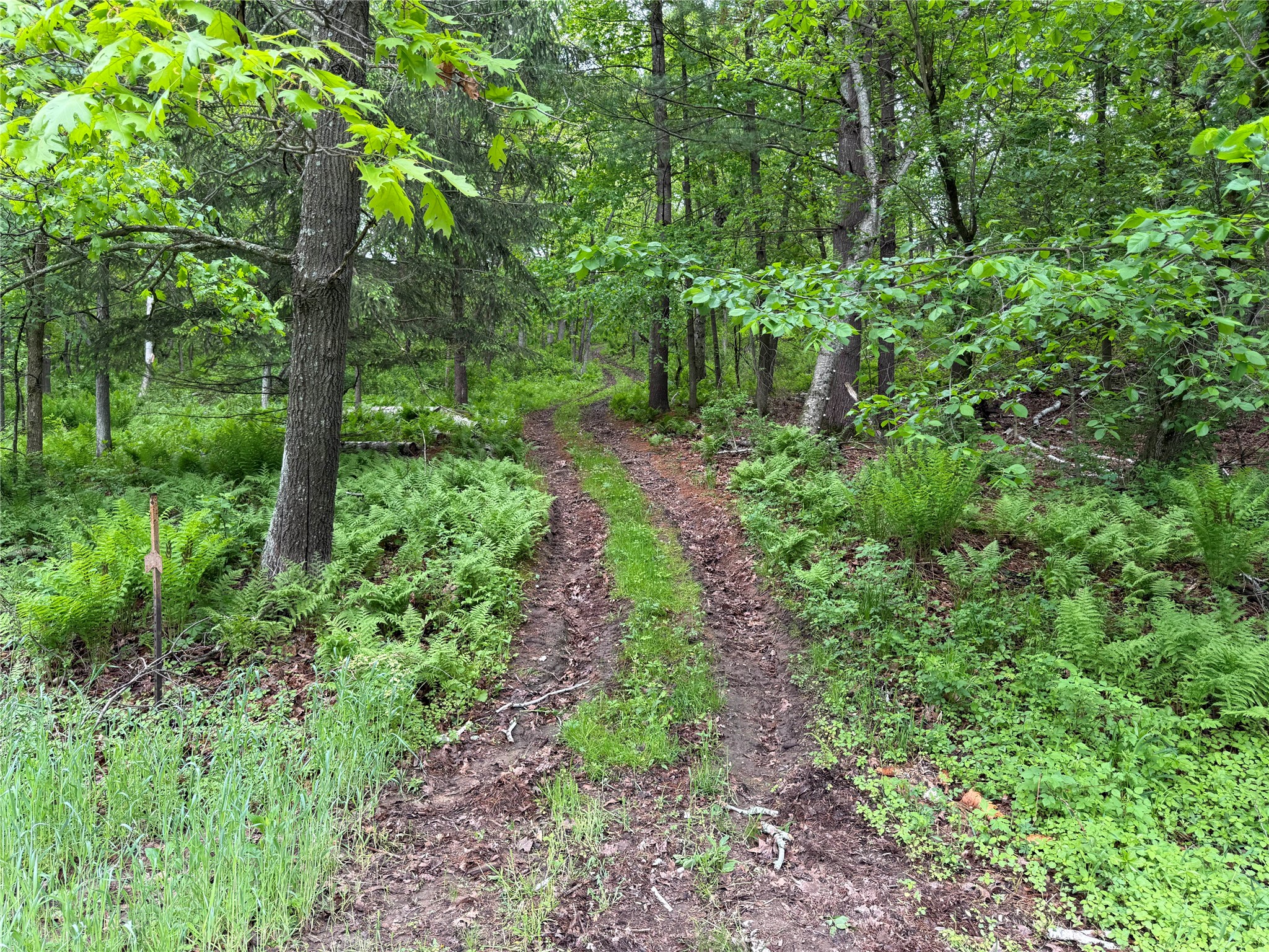 XXX County Road T Arcadia WI 54612 1601333 image37