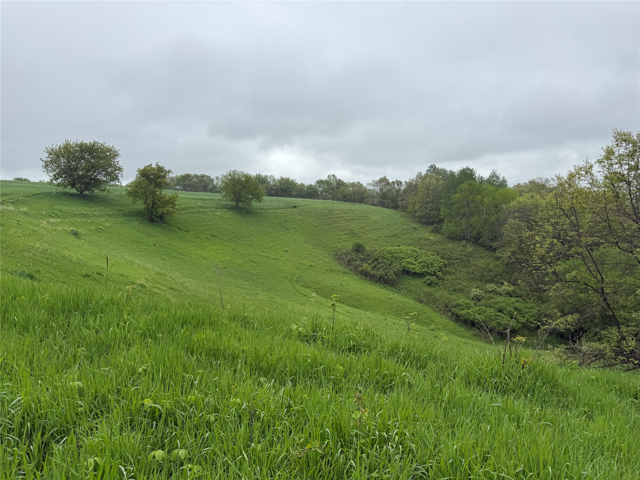XXX County Road T Arcadia WI 54612 1601333 image38
