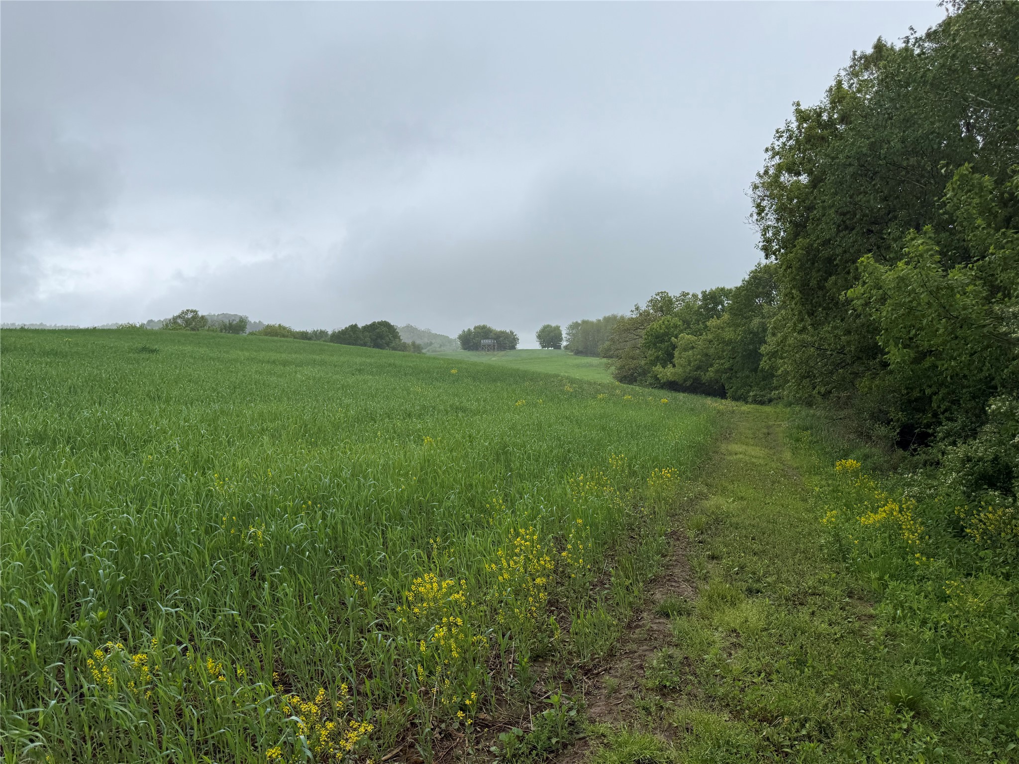 XXX County Road T Arcadia WI 54612 1601333 image40