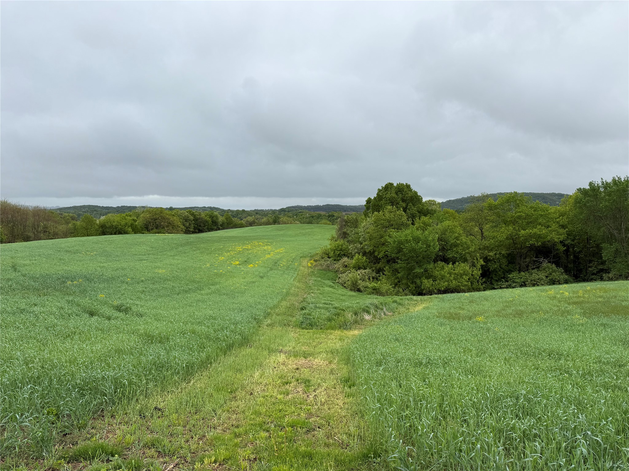 XXX County Road T Arcadia WI 54612 1601333 image43