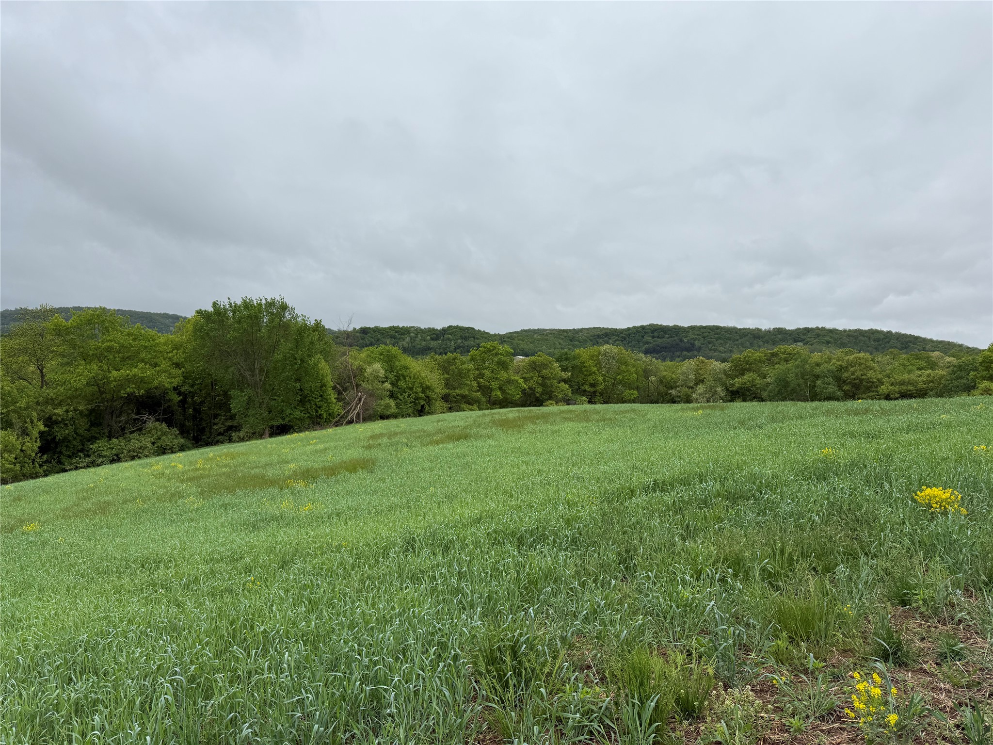 XXX County Road T Arcadia WI 54612 1601333 image44