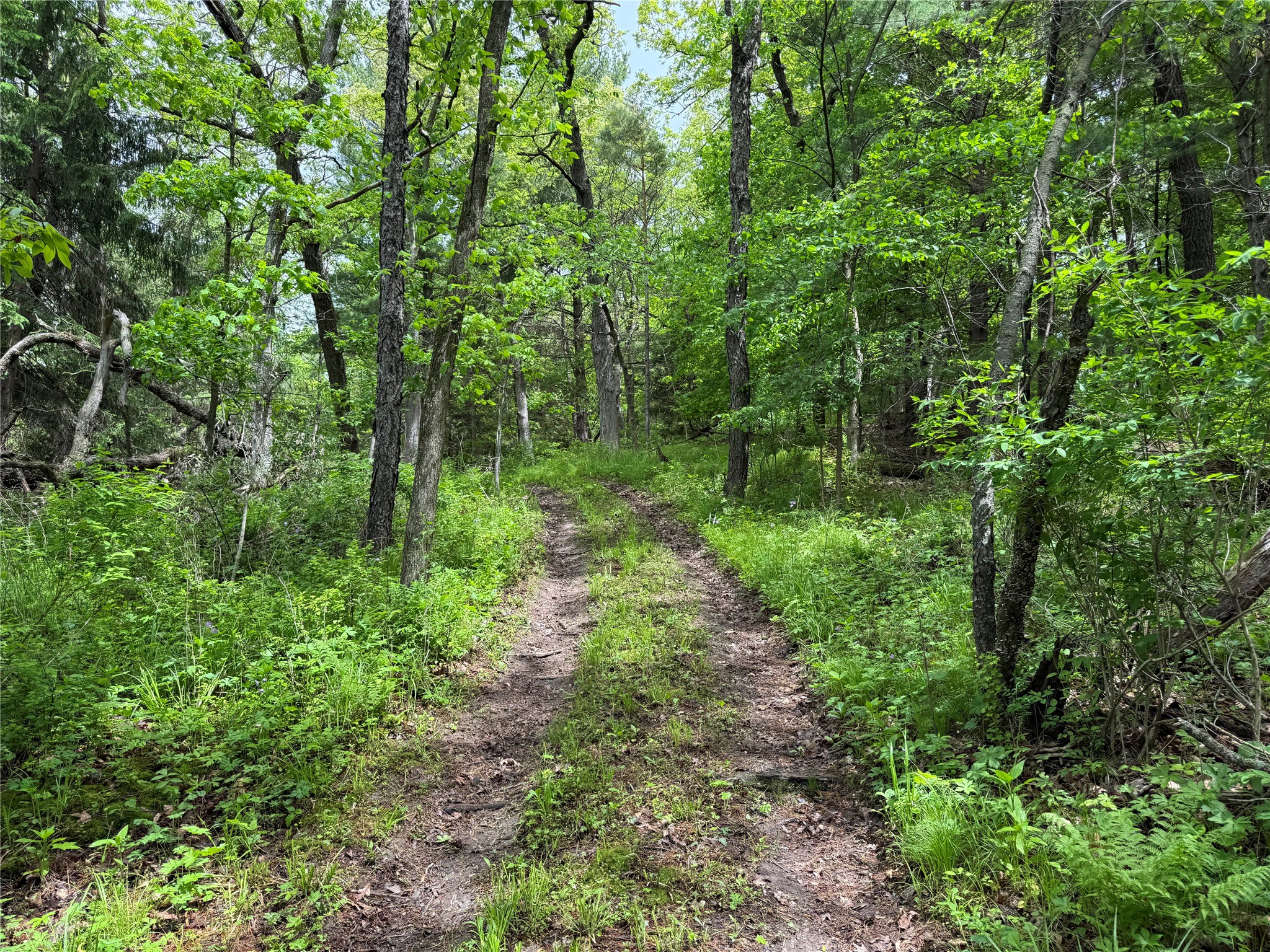 XXX County Road T Arcadia WI 54612 1601333 image48