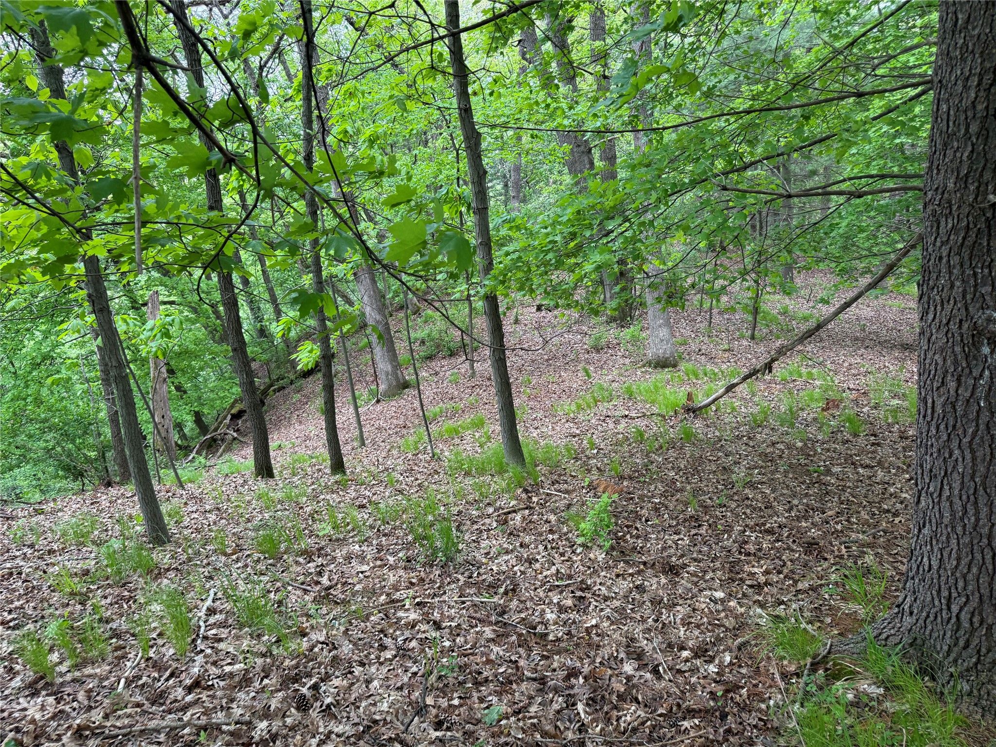 XXX County Road T Arcadia WI 54612 1601333 image49