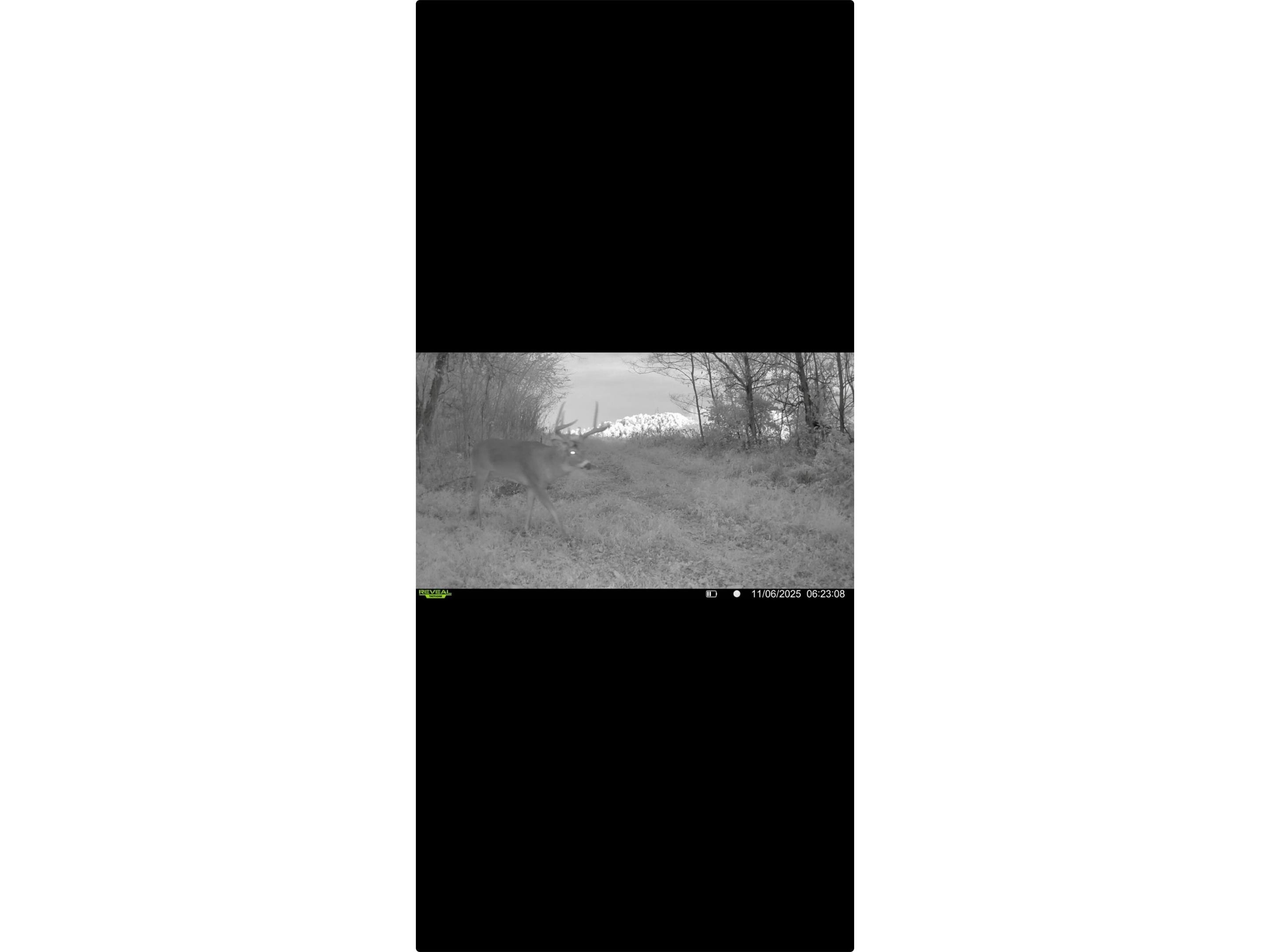 XXX County Road T Arcadia WI 54612 1601333 image50