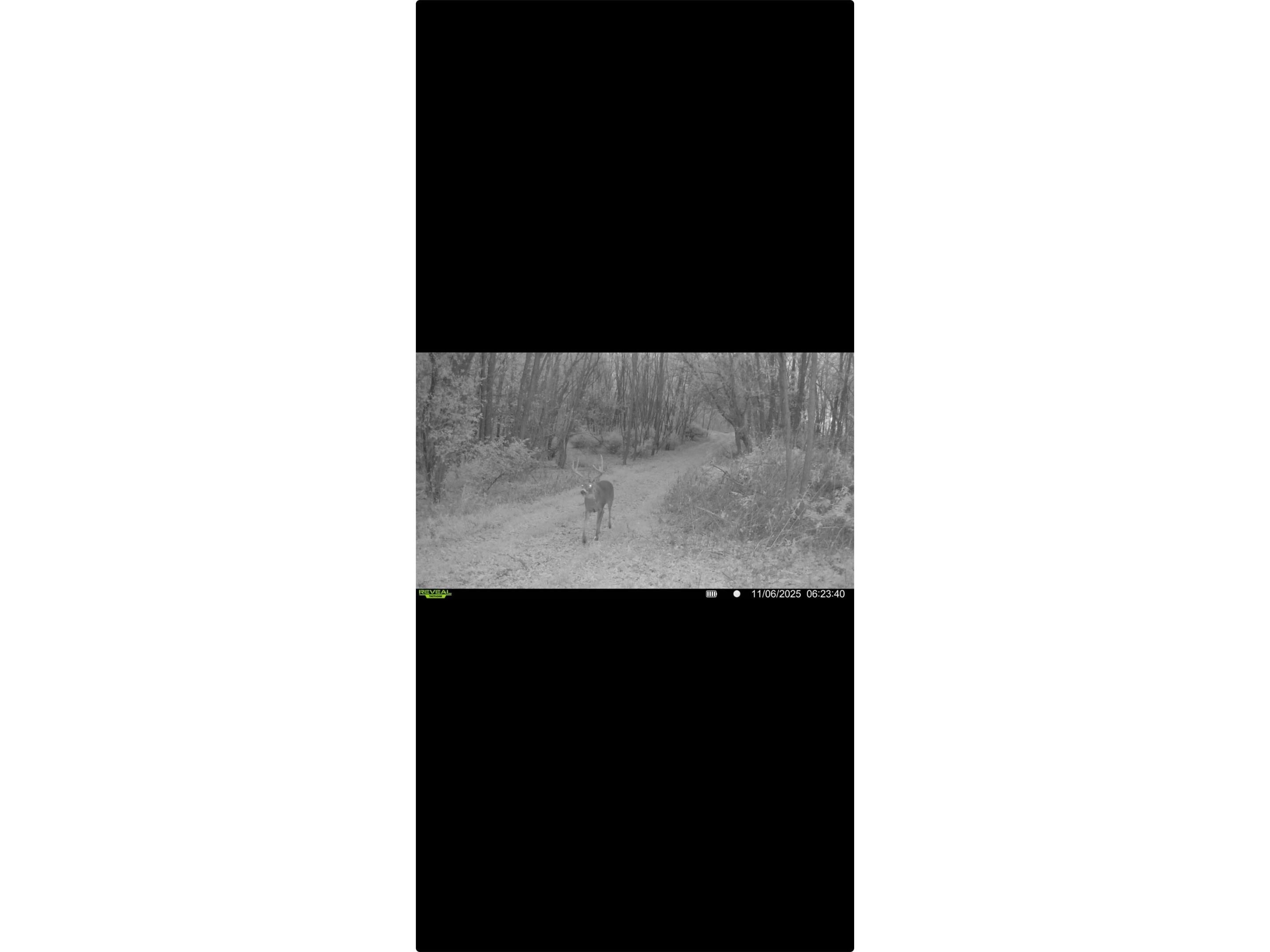 XXX County Road T Arcadia WI 54612 1601333 image51