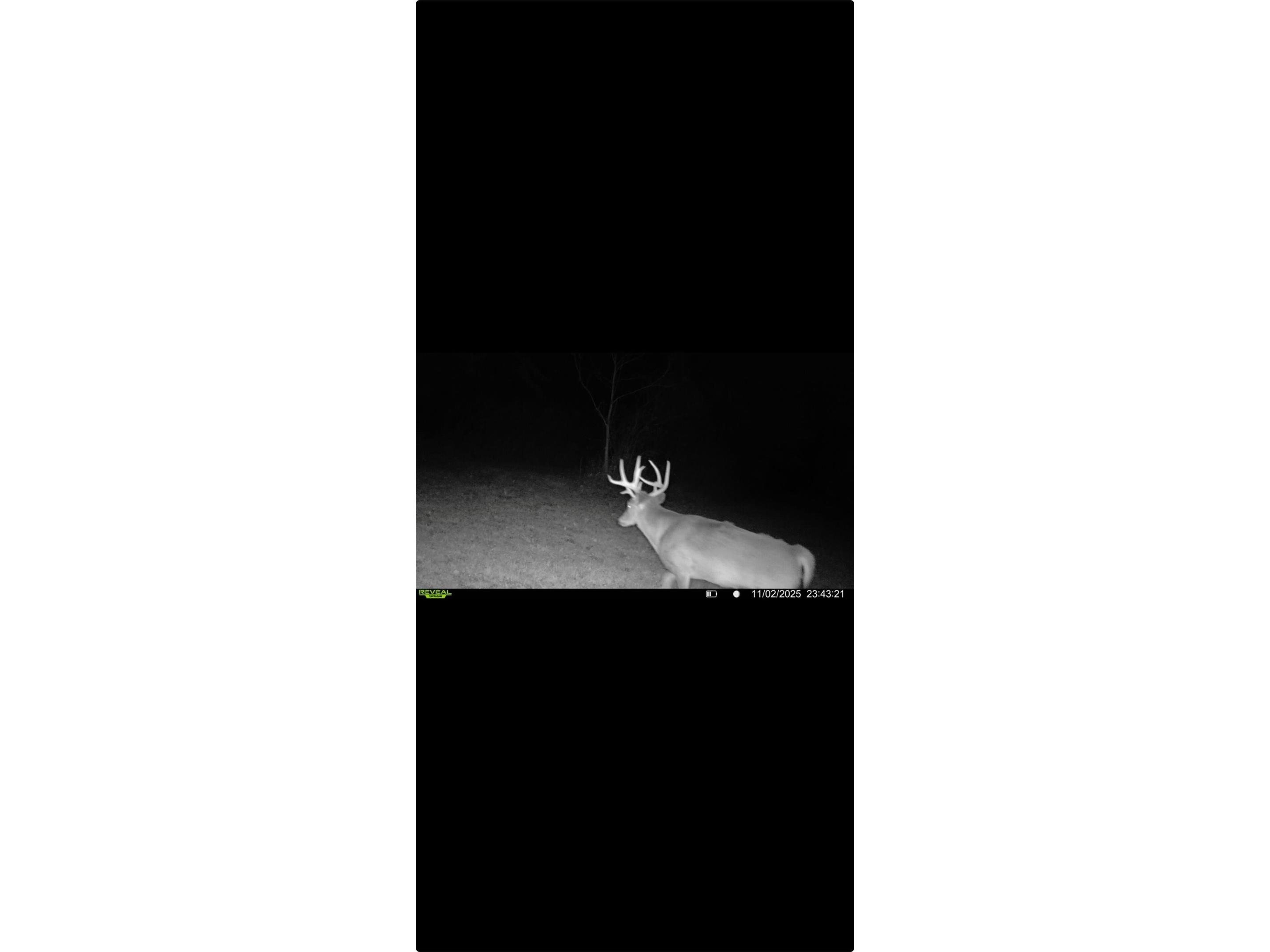 XXX County Road T Arcadia WI 54612 1601333 image52