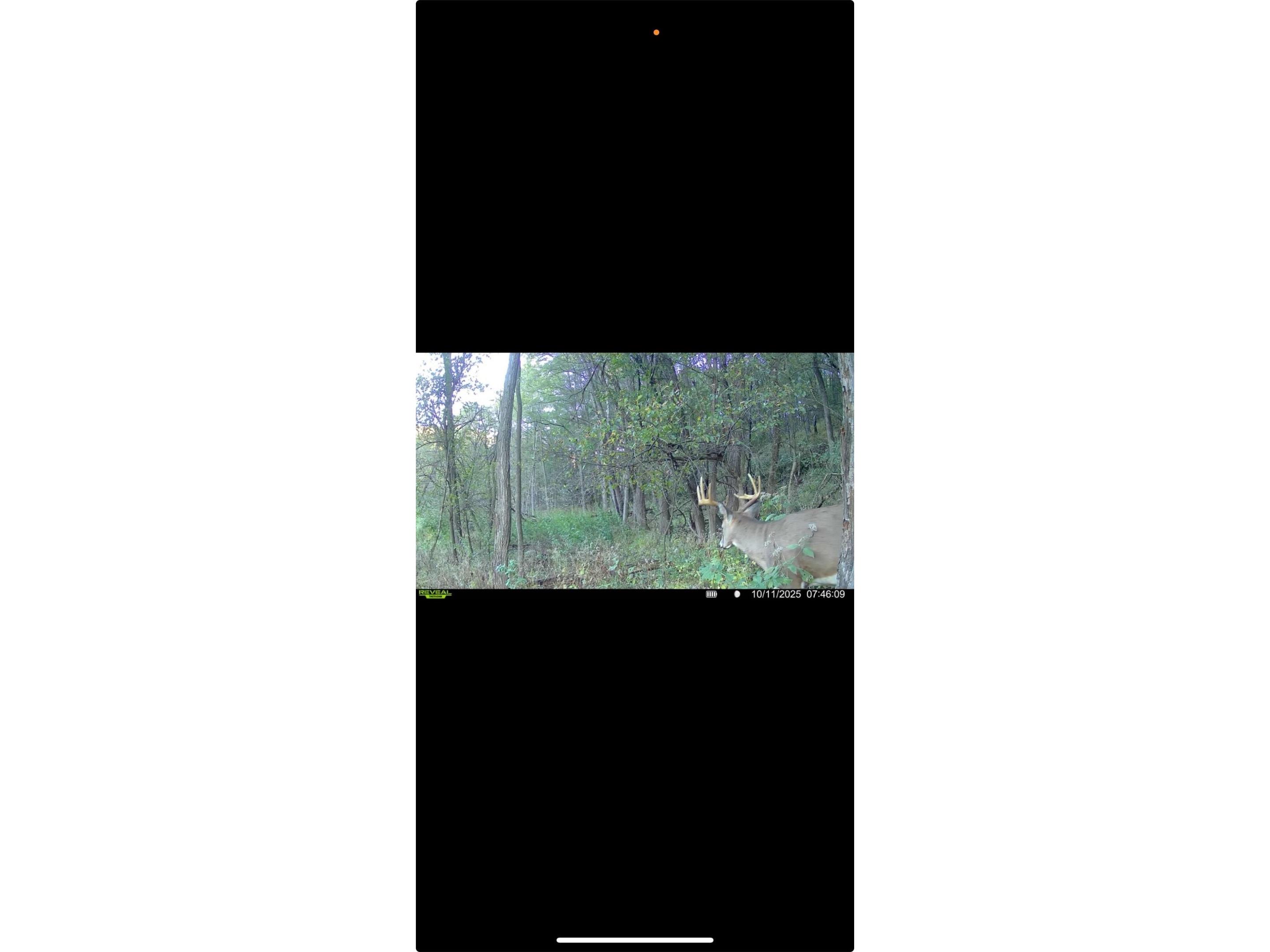 XXX County Road T Arcadia WI 54612 1601333 image55