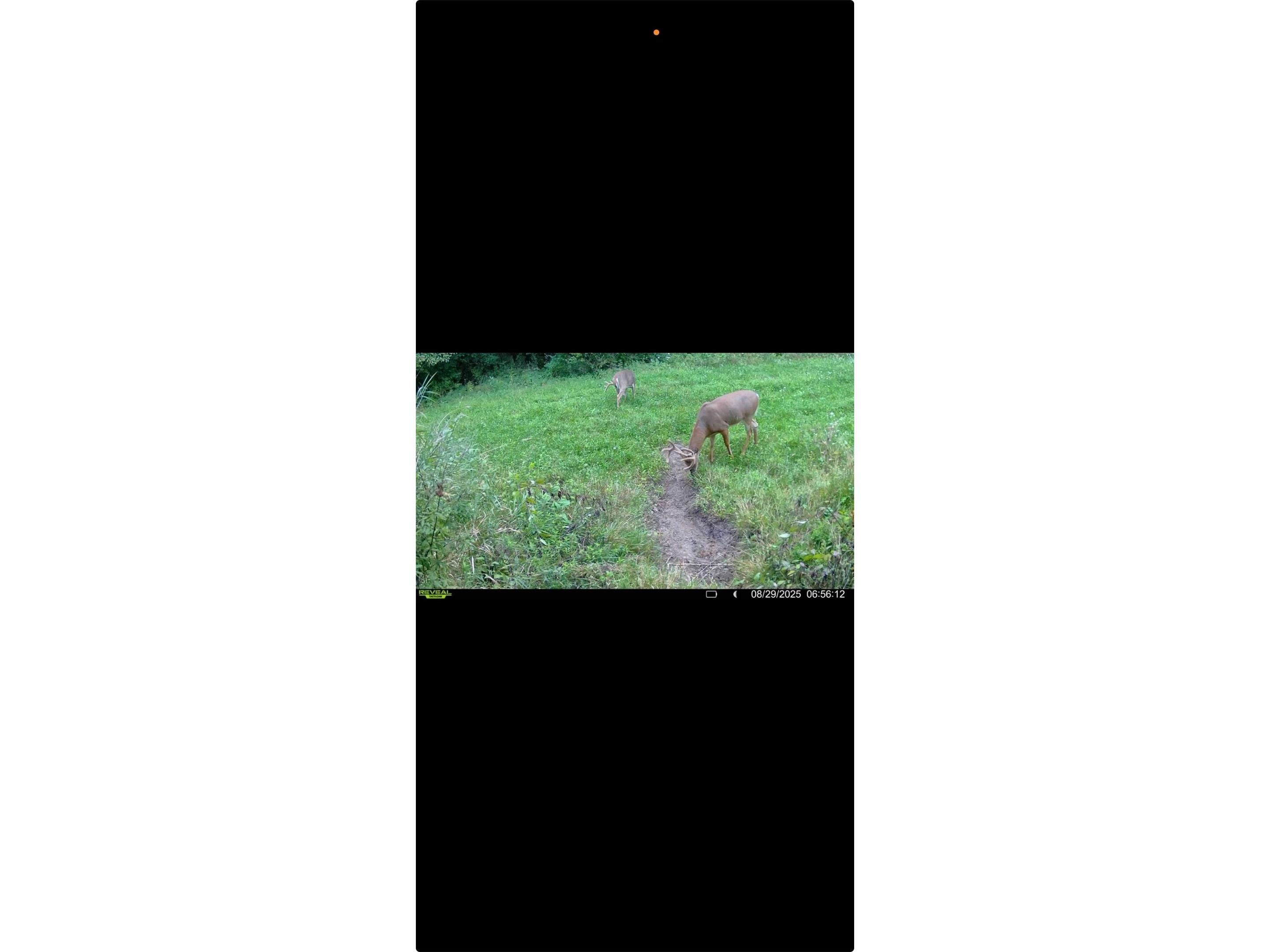 XXX County Road T Arcadia WI 54612 1601333 image57