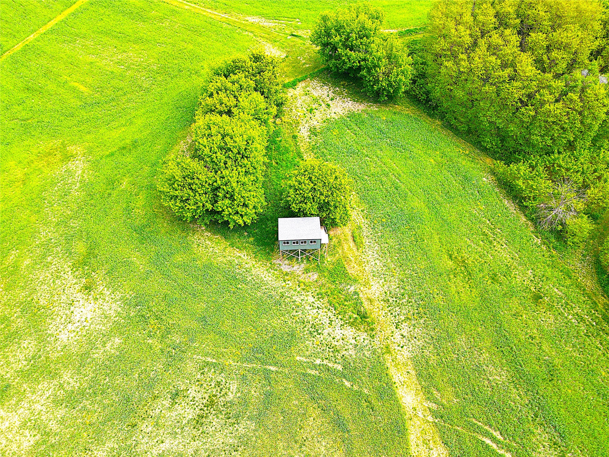 XXX County Road T Arcadia WI 54612 1601333 image6