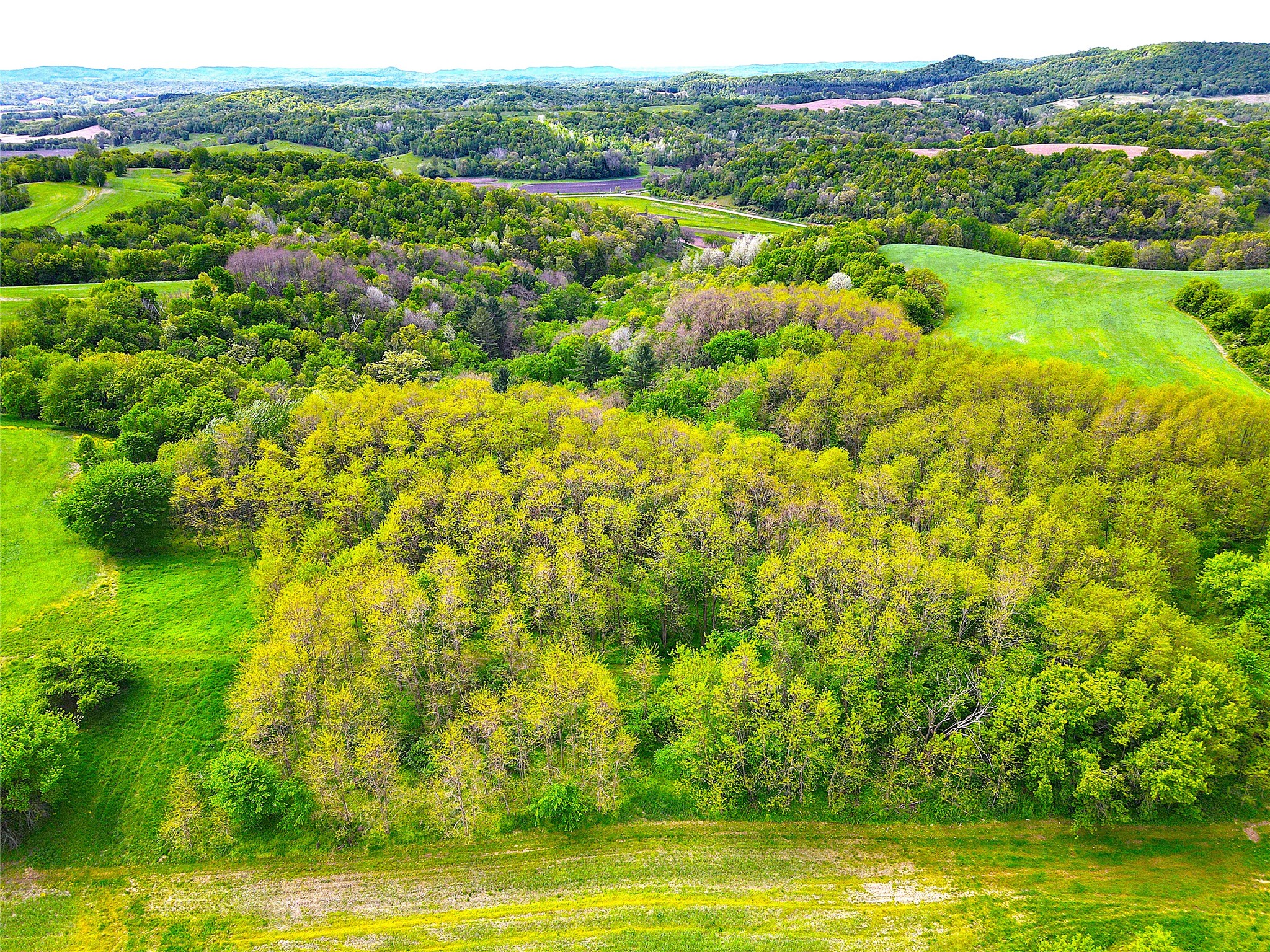 XXX County Road T Arcadia WI 54612 1601333 image7