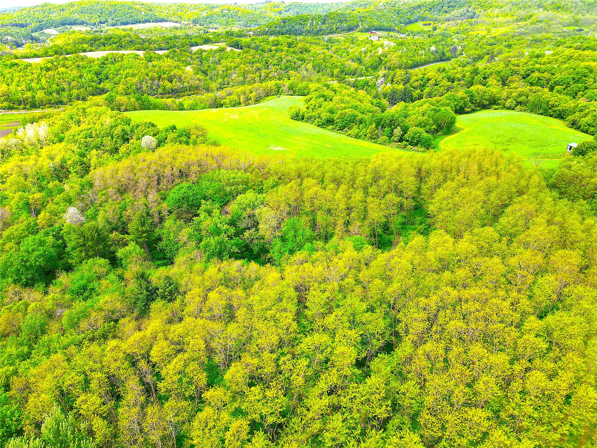XXX County Road T Arcadia WI 54612 1601333 image9