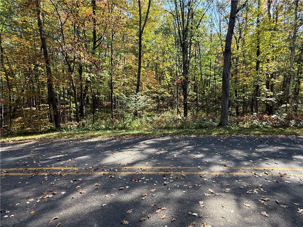 XXX Deep Lake Road Sarona WI 54870 1596125 image1