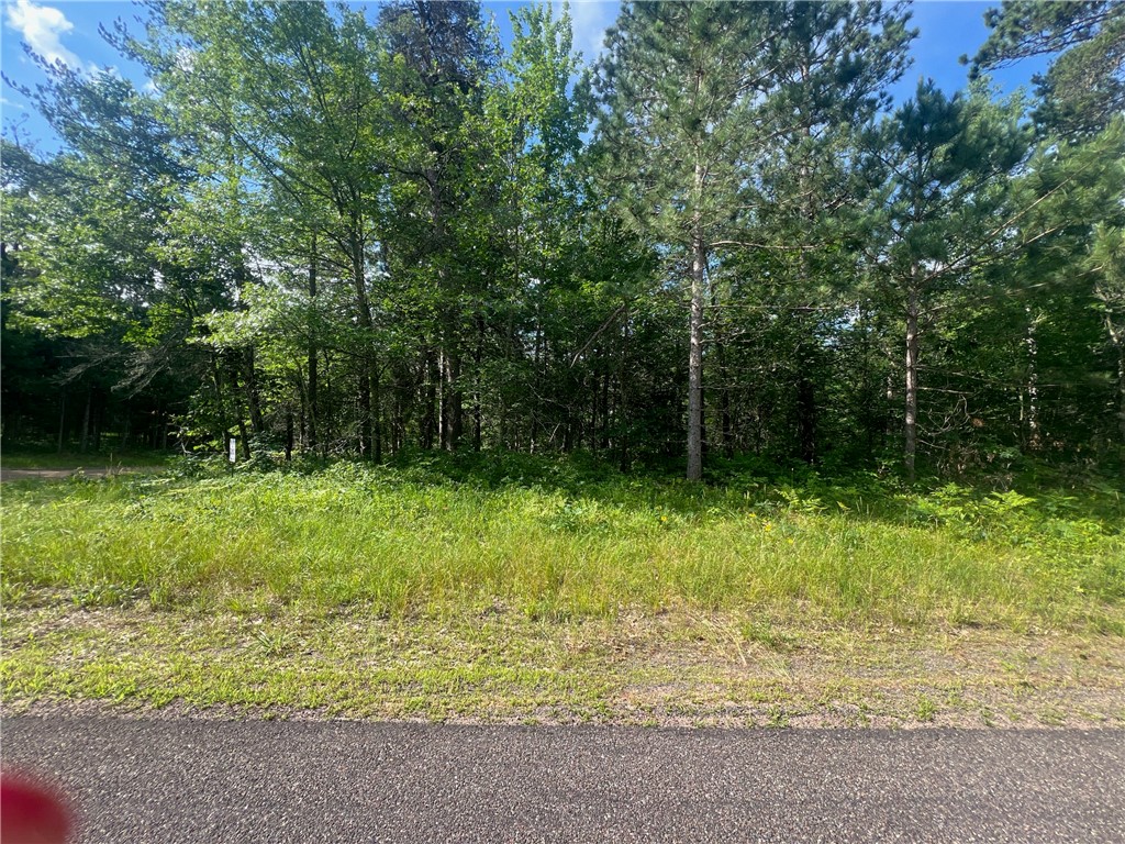 XXX Deerpath Road Danbury WI 54830 1591947 image15