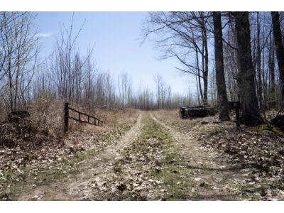 XXX E Beauregard Lake Road Gordon WI 54838 1591476 image1