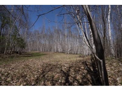 XXX E Beauregard Lake Road Gordon WI 54838 1591476 image13