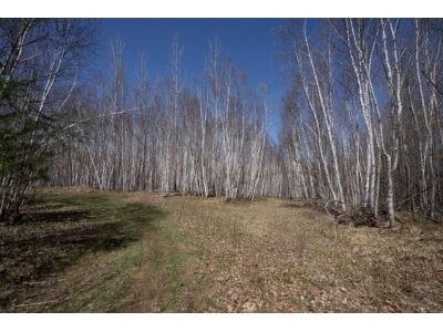 XXX E Beauregard Lake Road Gordon WI 54838 1591476 image14