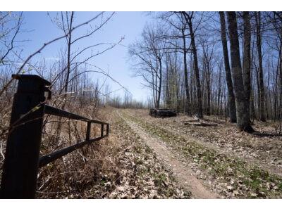 XXX E Beauregard Lake Road Gordon WI 54838 1591476 image2