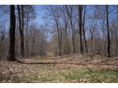 XXX E Beauregard Lake Road Gordon WI 54838 1591476 image21