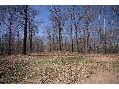 XXX E Beauregard Lake Road Gordon WI 54838 1591476 image22