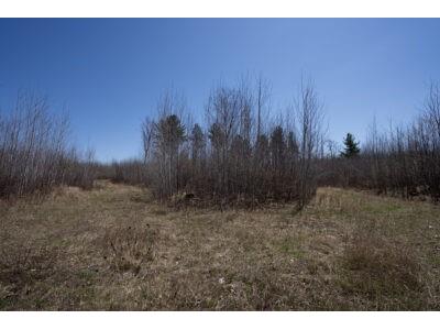 XXX E Beauregard Lake Road Gordon WI 54838 1591476 image25