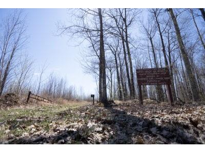 XXX E Beauregard Lake Road Gordon WI 54838 1591476 image3