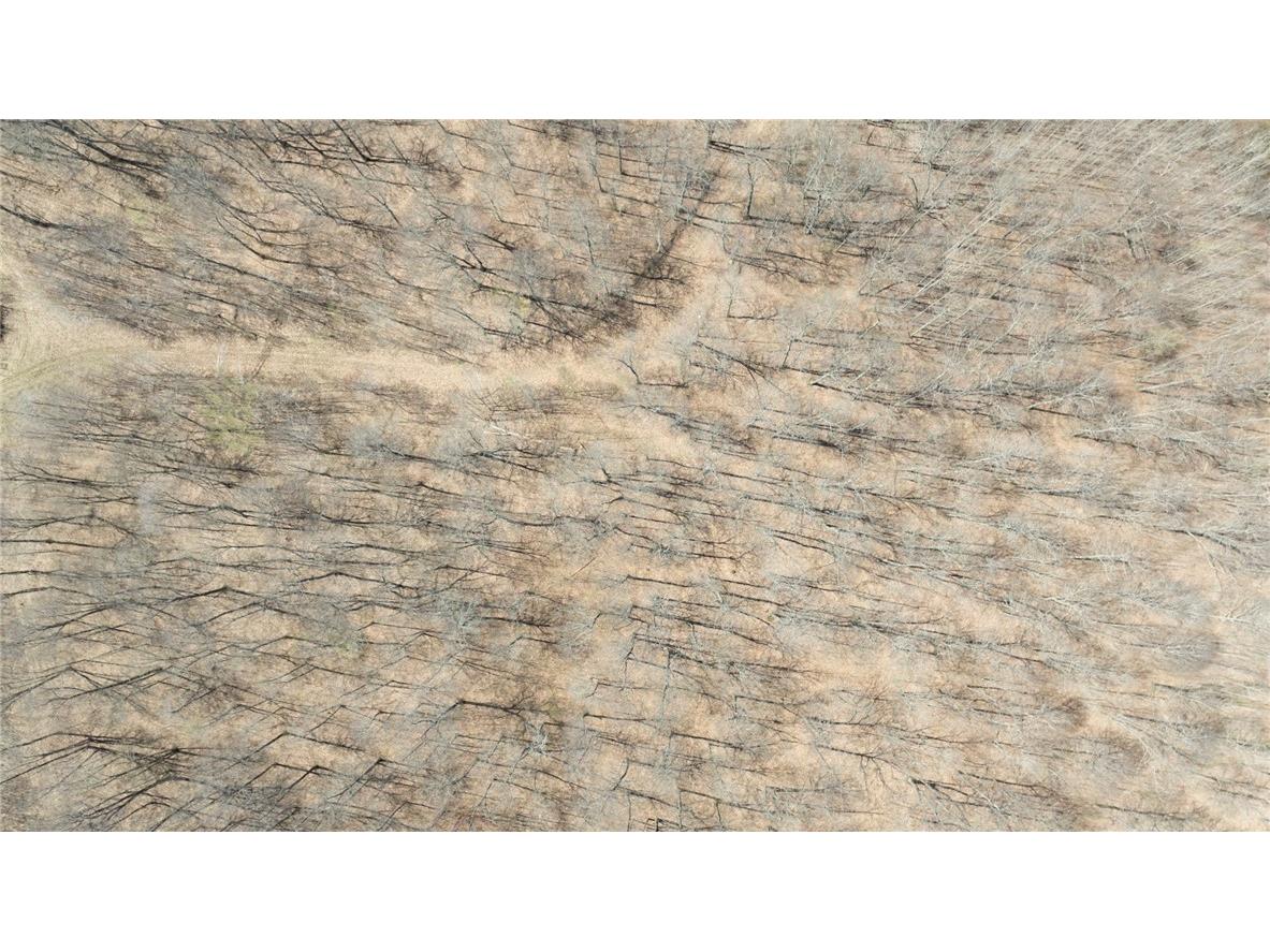 XXX E Beauregard Lake Road Gordon WI 54838 1591476 image35