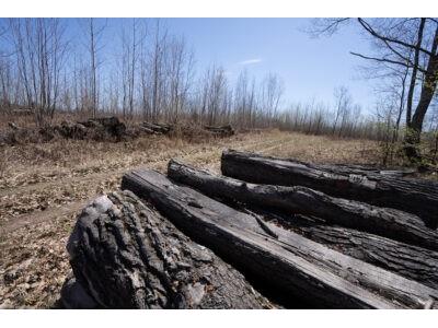 XXX E Beauregard Lake Road Gordon WI 54838 1591476 image4