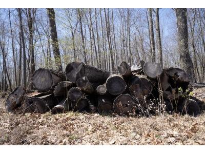 XXX E Beauregard Lake Road Gordon WI 54838 1591476 image5