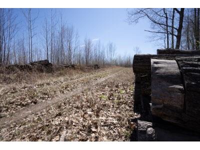 XXX E Beauregard Lake Road Gordon WI 54838 1591476 image6