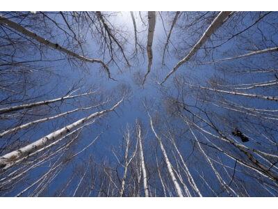 XXX E Beauregard Lake Road Gordon WI 54838 1591476 image9