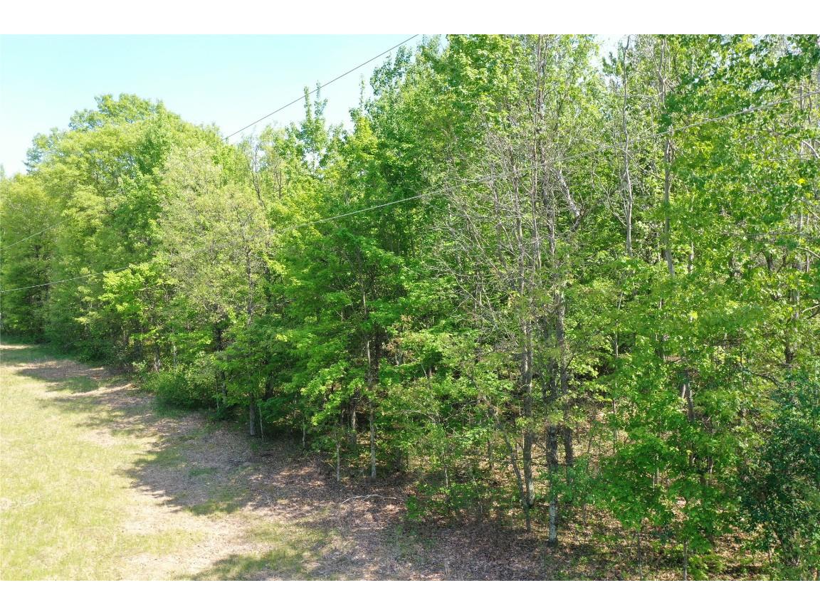 XXX Evergreen Avenue Saint Croix Falls WI 54024 1601750 image1