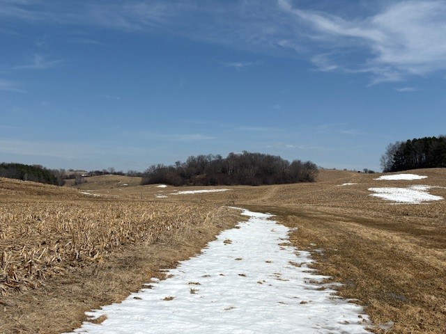 XXX Halama Road Independence WI 54747 1599444 image16