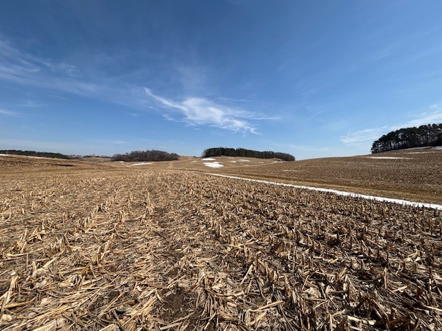 XXX Halama Road Independence WI 54747 1599444 image8