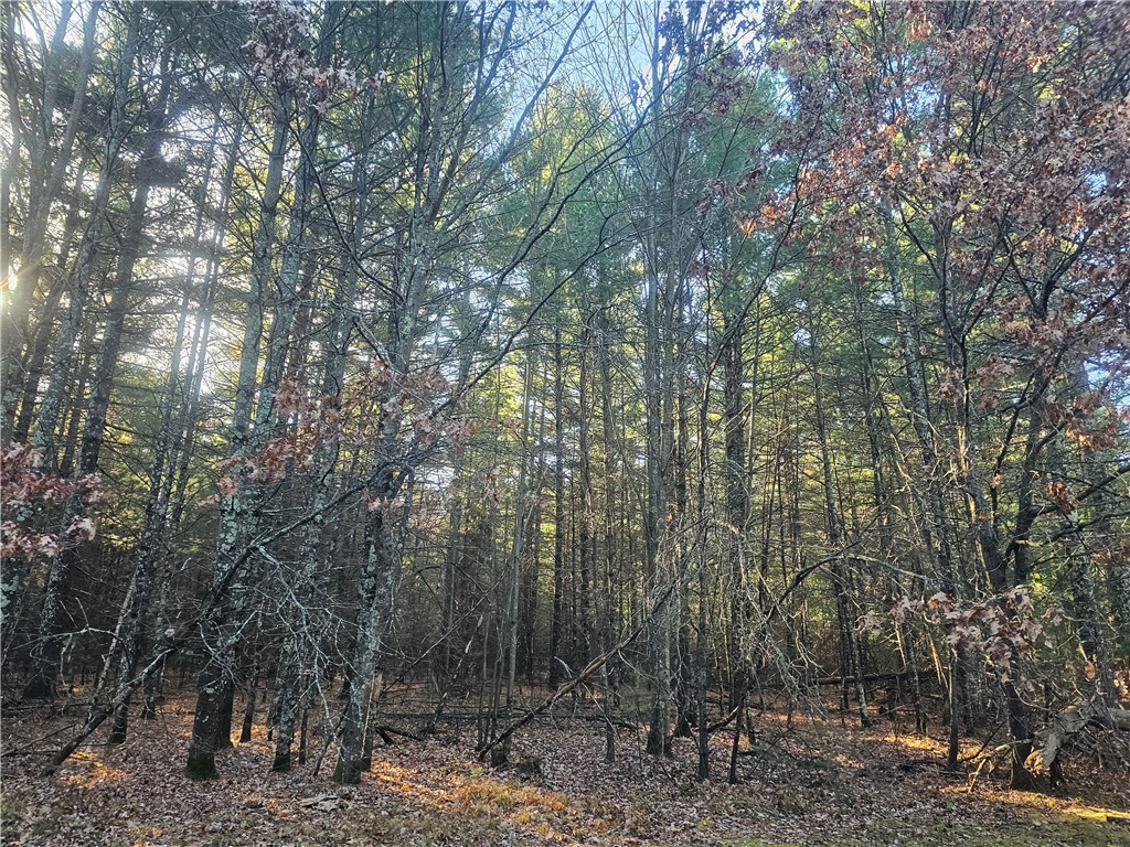 XXX Harmon Avenue E Grantsburg WI 54840 1597230 image10