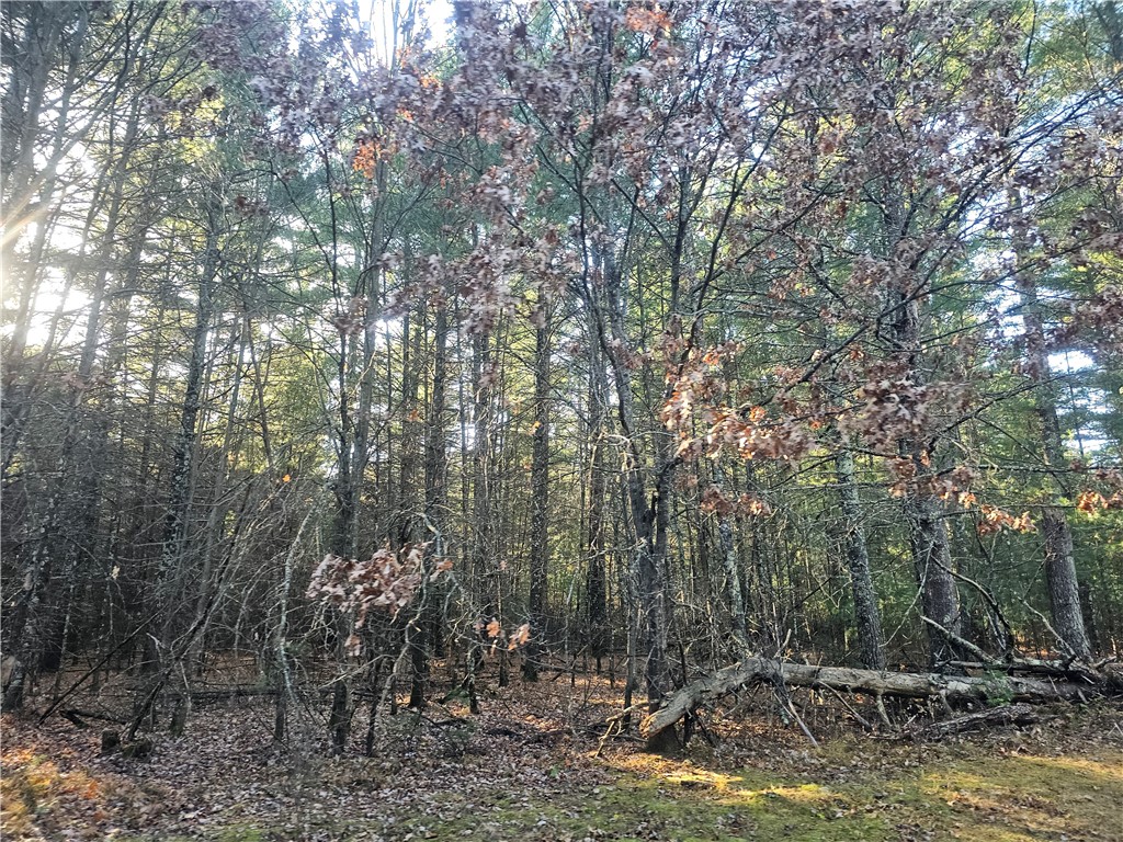 XXX Harmon Avenue E Grantsburg WI 54840 1597230 image13