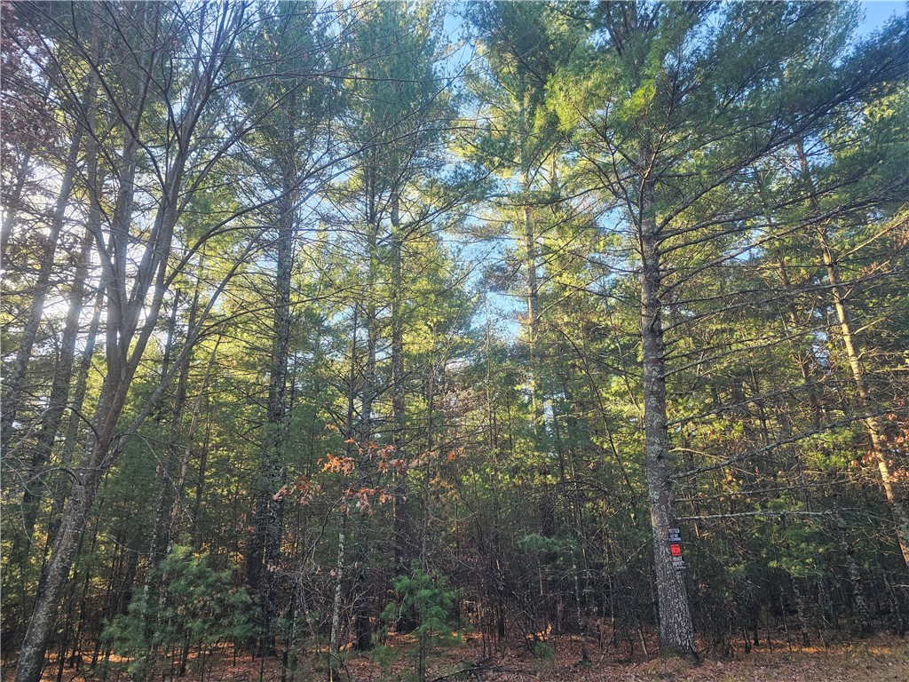 XXX Harmon Avenue E Grantsburg WI 54840 1597230 image2