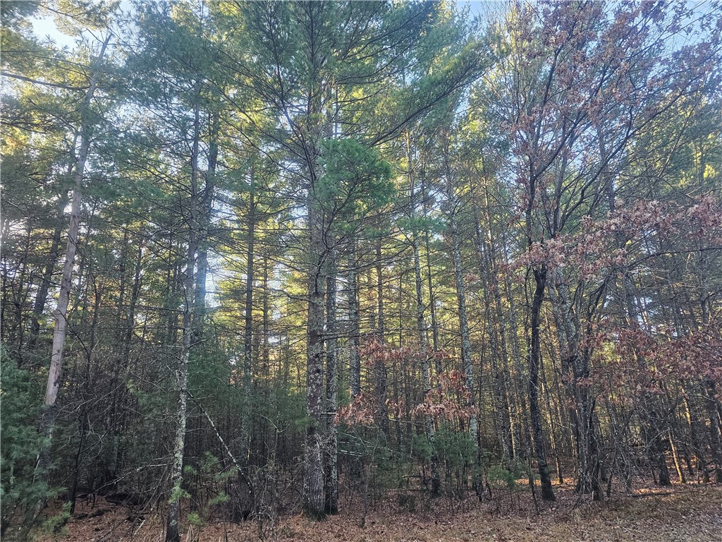 XXX Harmon Avenue E Grantsburg WI 54840 1597230 image4