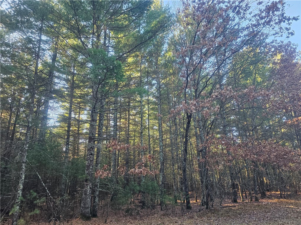 XXX Harmon Avenue E Grantsburg WI 54840 1597230 image5