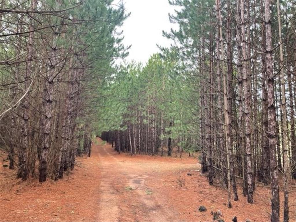 XXX Hay Creek Boulevard Grantsburg WI 54840 - Hay Creek 1597199 image1