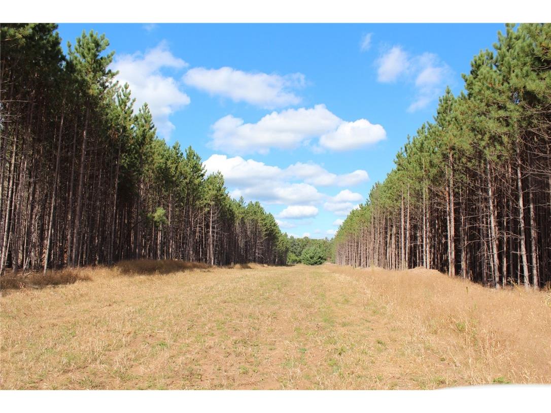 XXX Hay Creek Boulevard Grantsburg WI 54840 - Hay Creek 1597199 image10