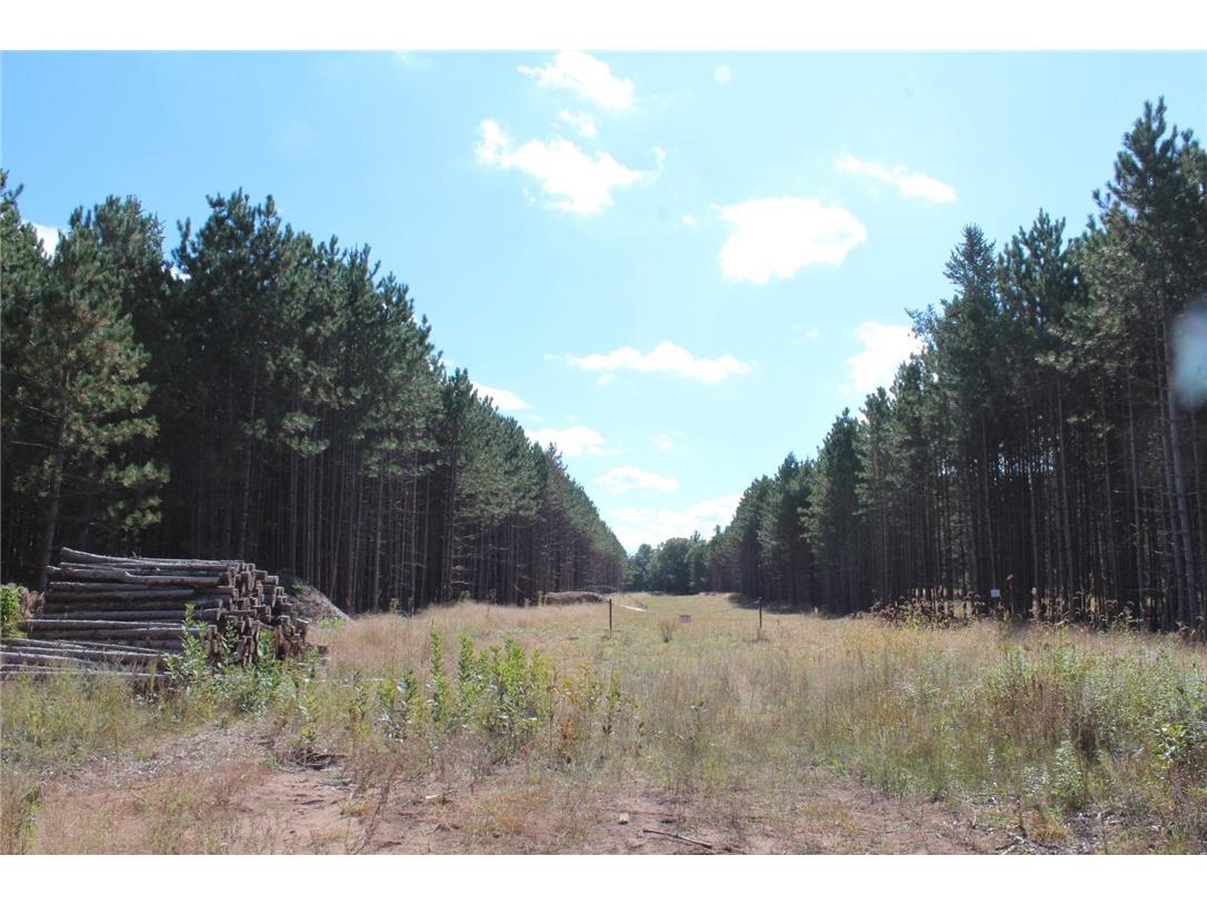 XXX Hay Creek Boulevard Grantsburg WI 54840 - Hay Creek 1597199 image2