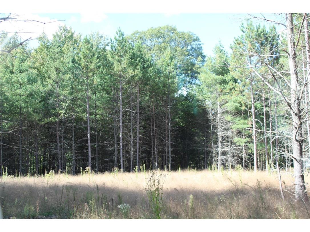 XXX Hay Creek Boulevard Grantsburg WI 54840 - Hay Creek 1597199 image4