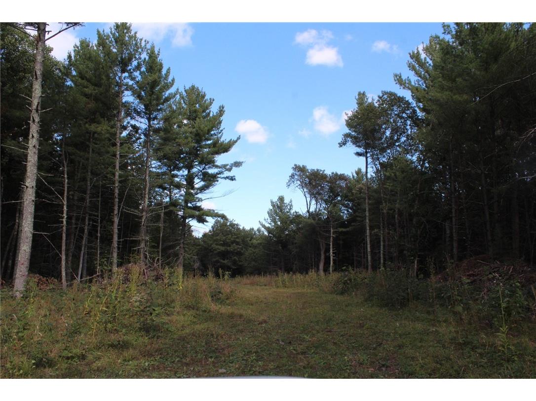 XXX Hay Creek Boulevard Grantsburg WI 54840 - Hay Creek 1597199 image7