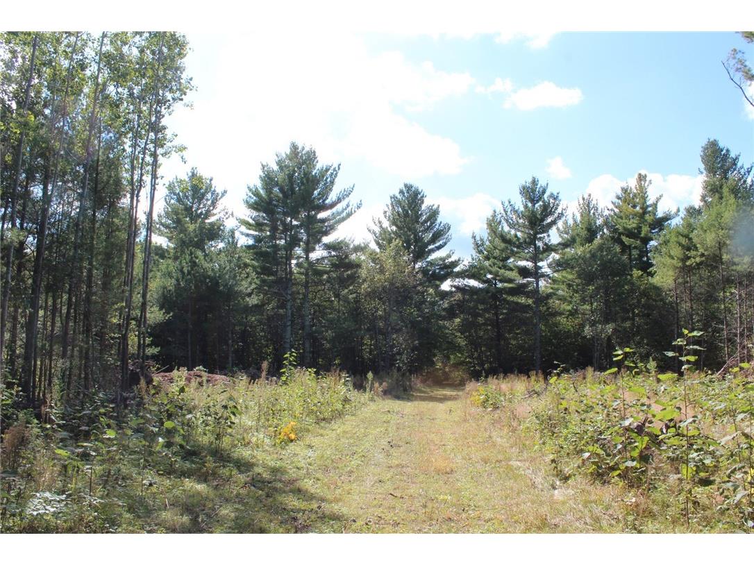 XXX Hay Creek Boulevard Grantsburg WI 54840 - Hay Creek 1597199 image8