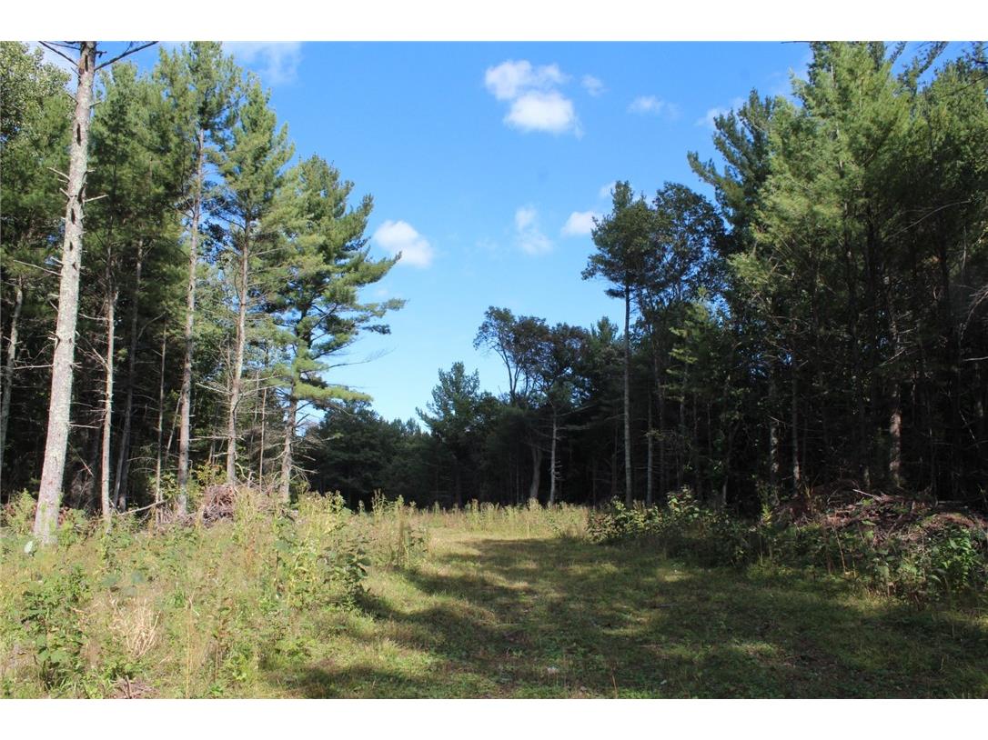 XXX Hay Creek Boulevard Grantsburg WI 54840 - Hay Creek 1597199 image9