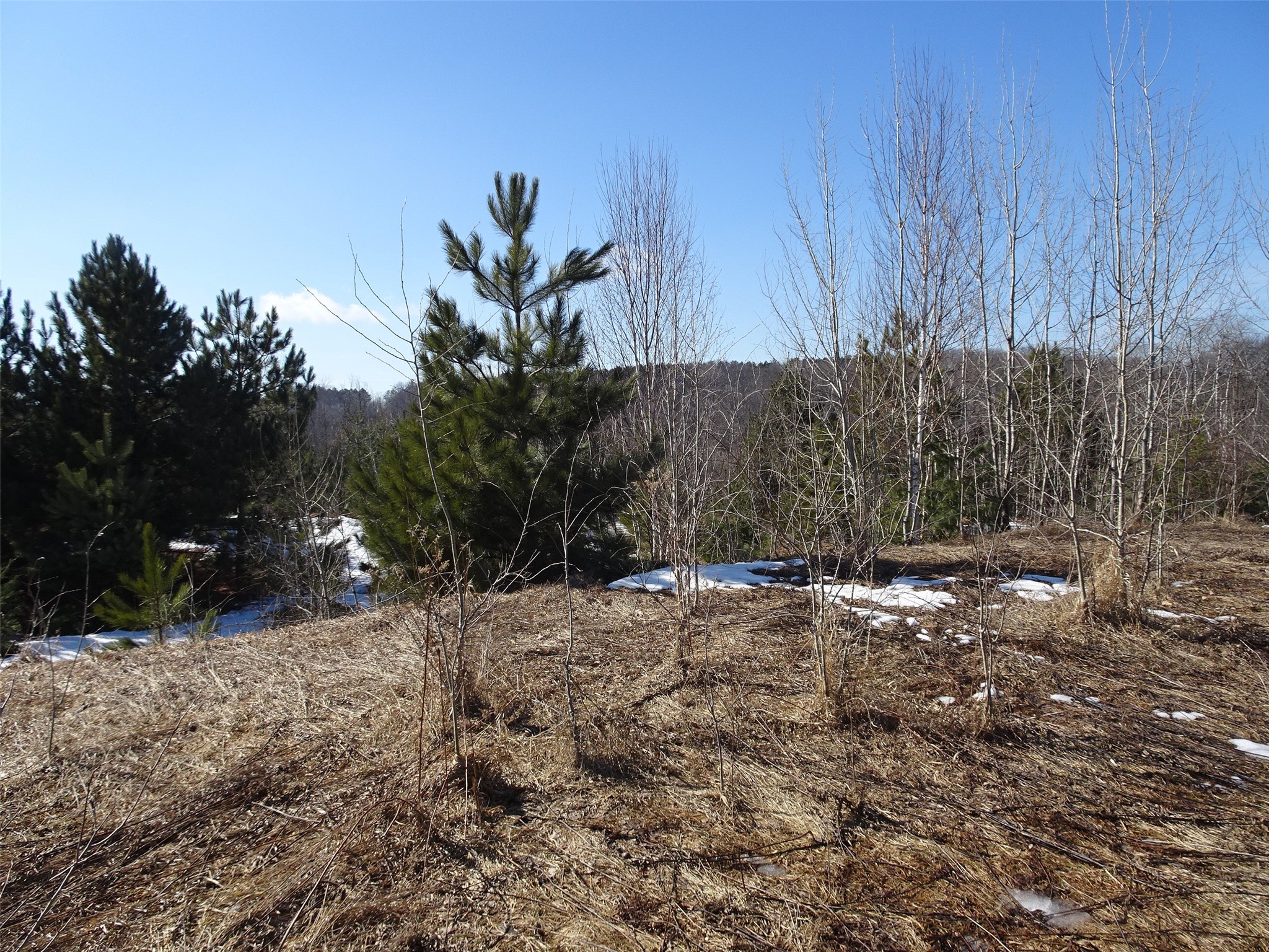 XXX Hwy 35 Frederic WI 54837 1599914 image6